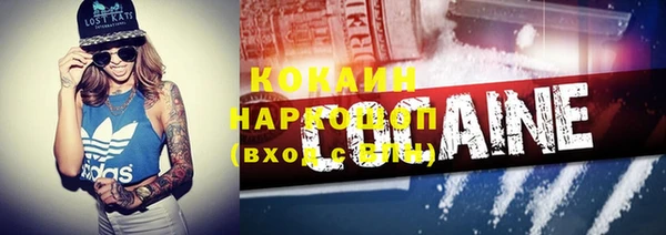 ПСИЛОЦИБИНОВЫЕ ГРИБЫ Вязники