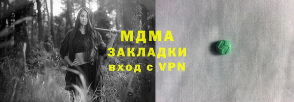 ПСИЛОЦИБИНОВЫЕ ГРИБЫ Вязники