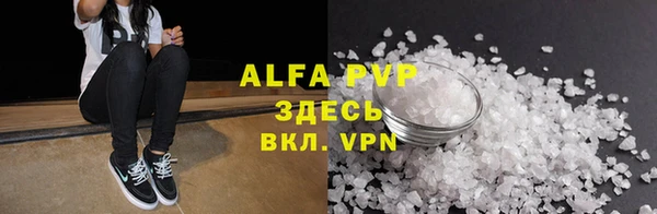 ПСИЛОЦИБИНОВЫЕ ГРИБЫ Вязники