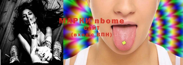 ПСИЛОЦИБИНОВЫЕ ГРИБЫ Вязники
