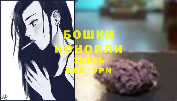 ПСИЛОЦИБИНОВЫЕ ГРИБЫ Вязники