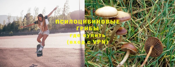 jwh Вяземский
