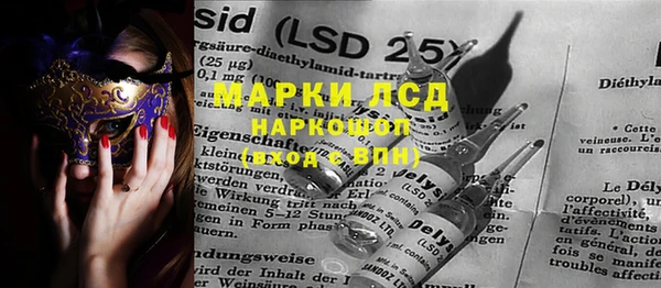 ПСИЛОЦИБИНОВЫЕ ГРИБЫ Вязники