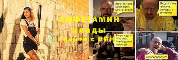 ПСИЛОЦИБИНОВЫЕ ГРИБЫ Вязники